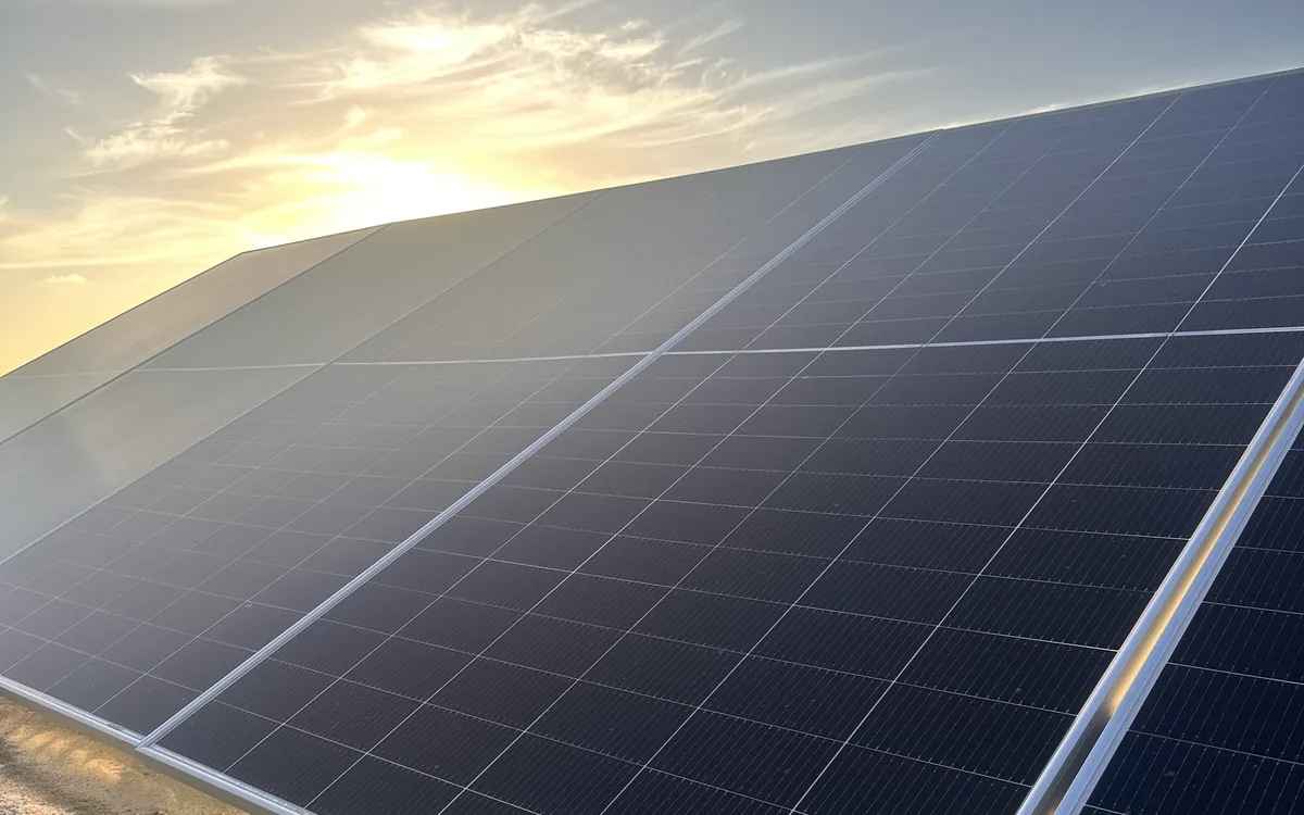 Panneaux solaires au sol au coucher du soleil en Guadeloupe, vegetation et gravier au pied des modules